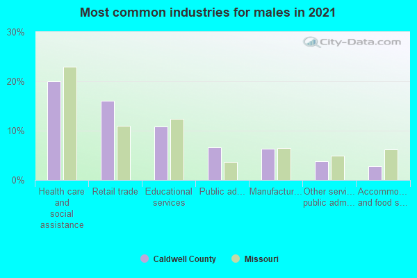 Most common industries for males in 2022