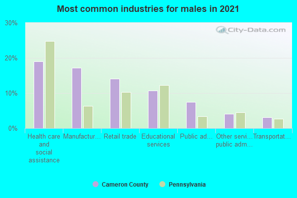 Most common industries for males in 2022