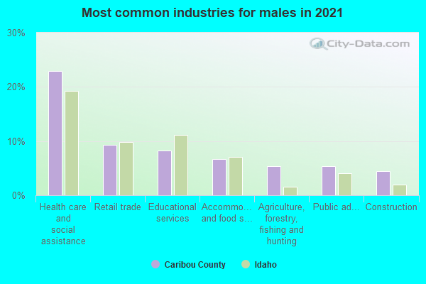 Most common industries for males in 2022