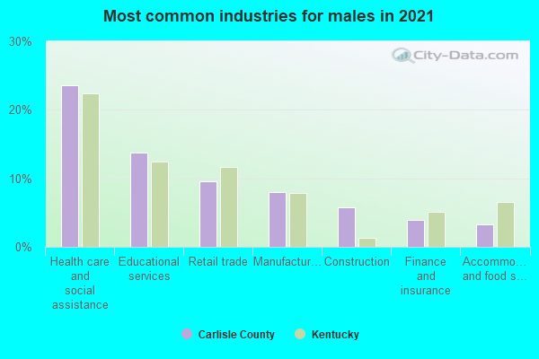 Most common industries for males in 2022