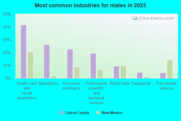 Most common industries for males in 2022