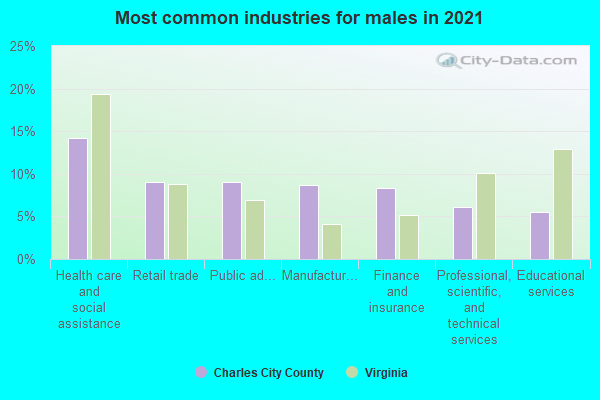 Most common industries for males in 2022