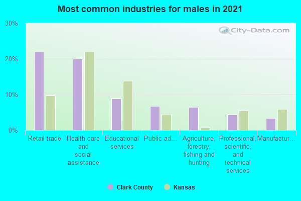 Most common industries for males in 2022