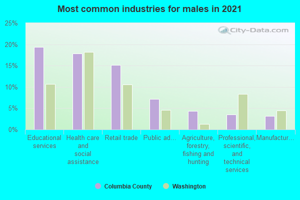 Most common industries for males in 2022