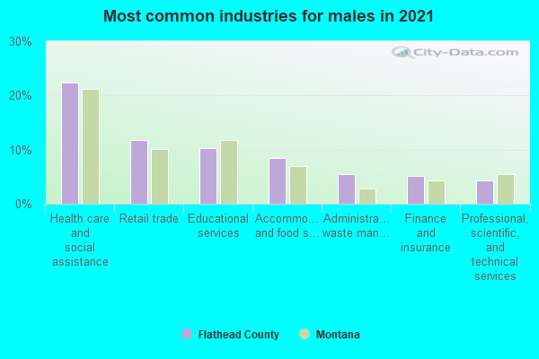 Most common industries for males in 2021