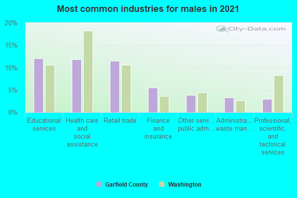 Most common industries for males in 2022