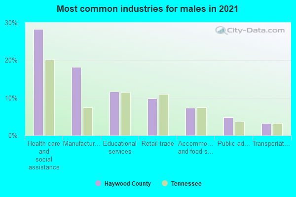 Most common industries for males in 2022