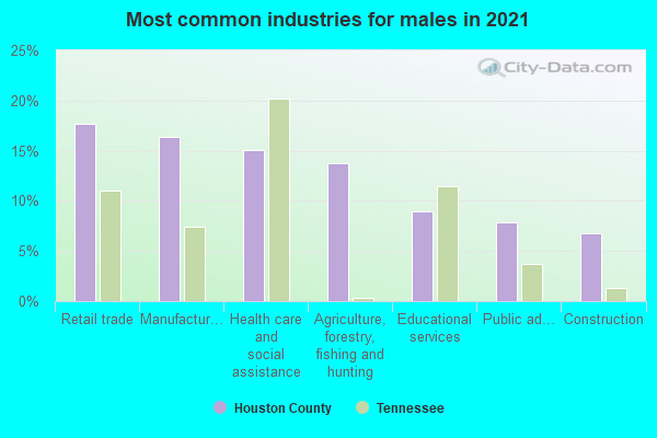 Most common industries for males in 2022