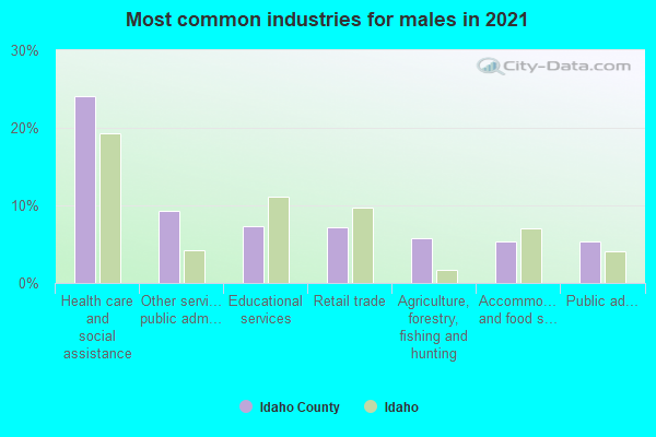 Most common industries for males in 2022