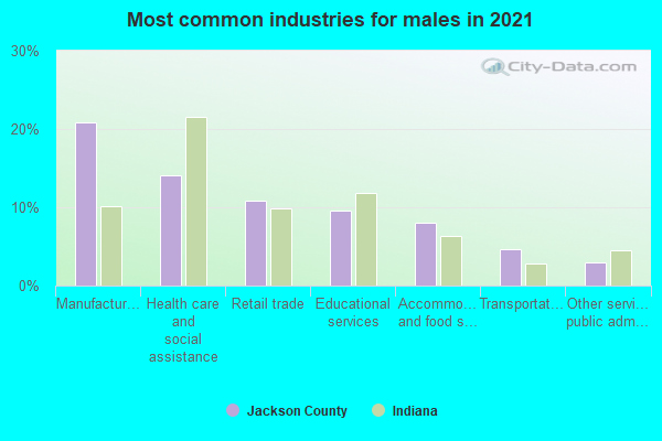 Most common industries for males in 2022