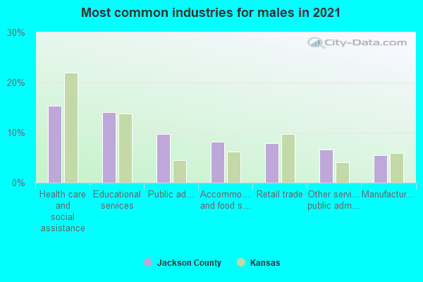 Most common industries for males in 2022