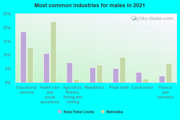 Most common industries for males in 2022