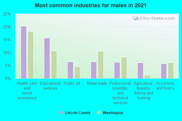 Most common industries for males in 2022