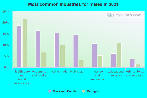 Most common industries for males in 2022