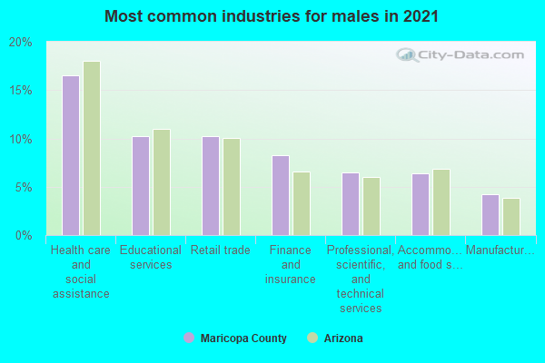 Most common industries for males in 2022