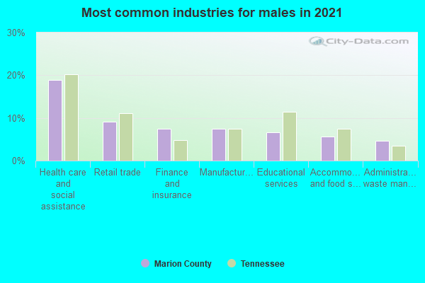 Most common industries for males in 2022