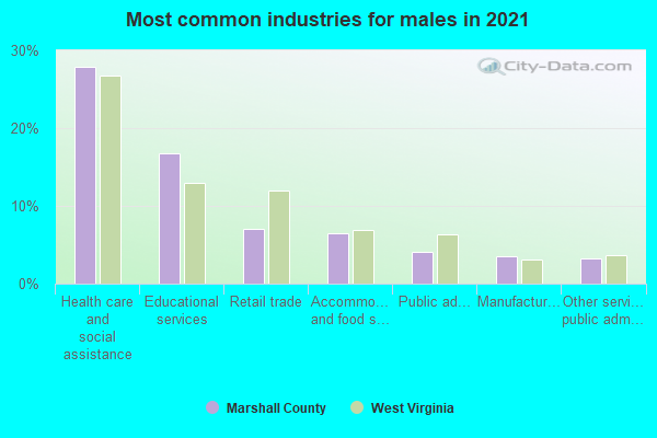 Most common industries for males in 2022