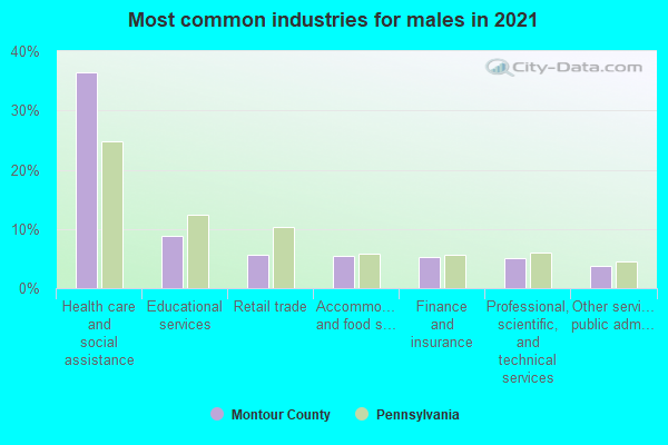 Most common industries for males in 2022