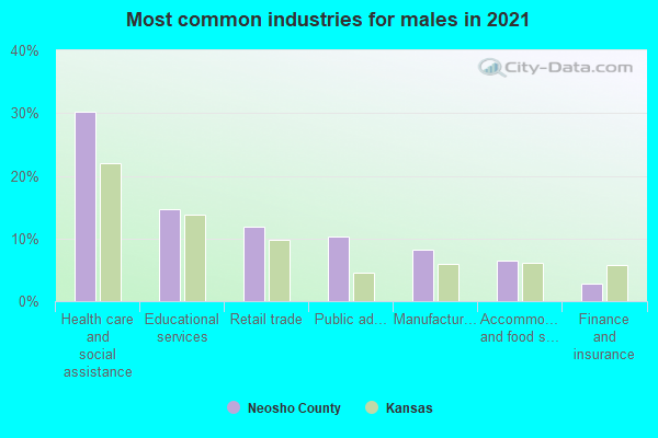 Most common industries for males in 2022