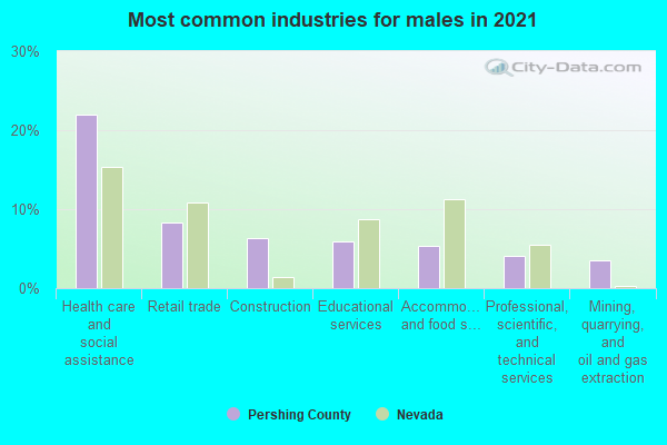 Most common industries for males in 2022