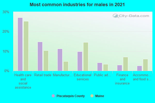 Most common industries for males in 2022