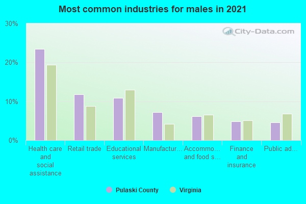 Most common industries for males in 2022