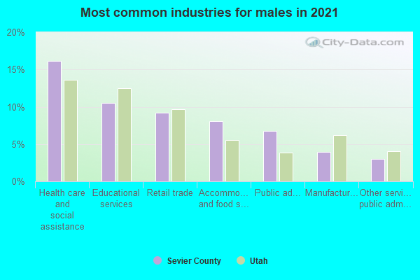 Most common industries for males in 2022