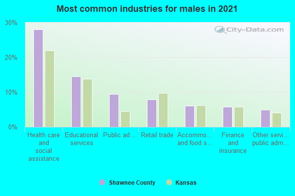 Most common industries for males in 2022