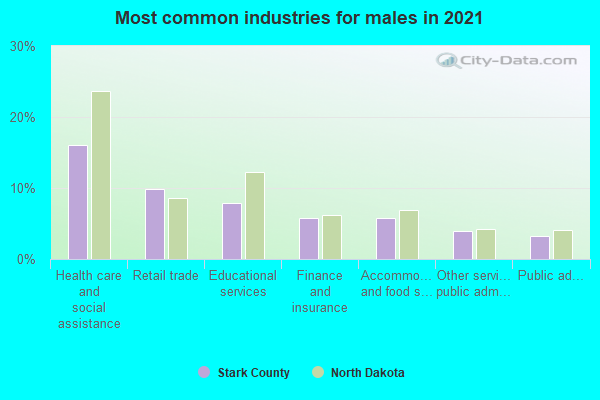 Most common industries for males in 2022