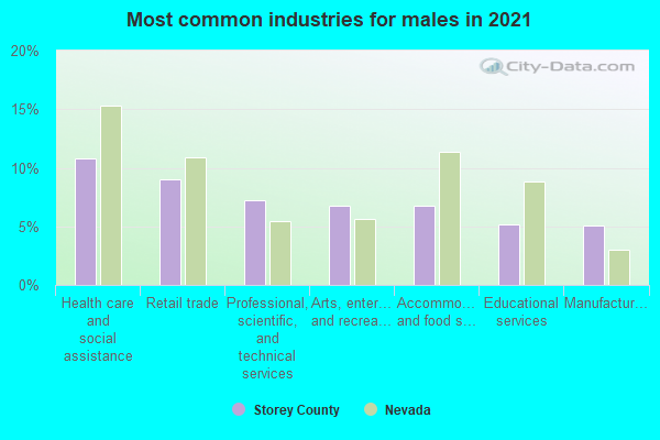 Most common industries for males in 2022