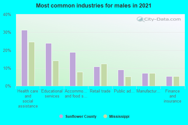 Most common industries for males in 2022