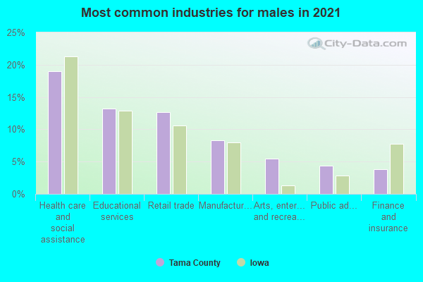 Most common industries for males in 2022