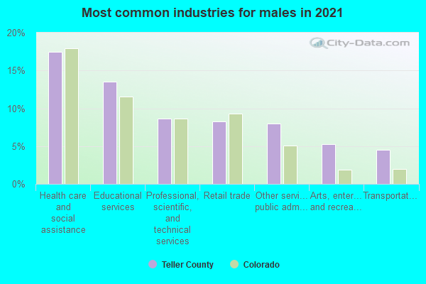 Most common industries for males in 2022