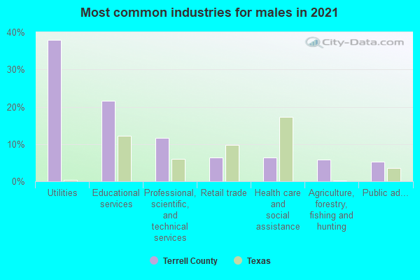 Most common industries for males in 2022