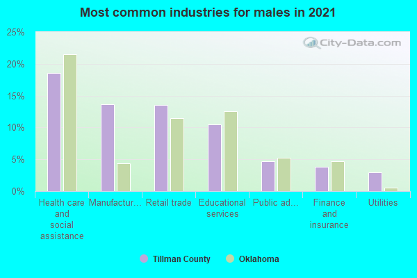 Most common industries for males in 2022