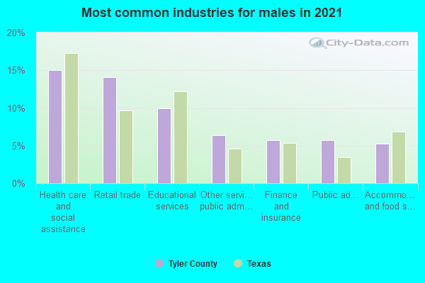 Most common industries for males in 2022