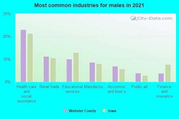 Most common industries for males in 2022