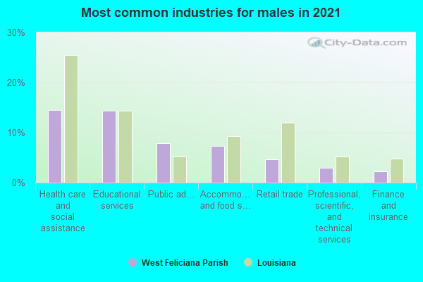 Most common industries for males in 2022