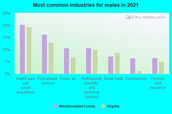 Most common industries for males in 2022