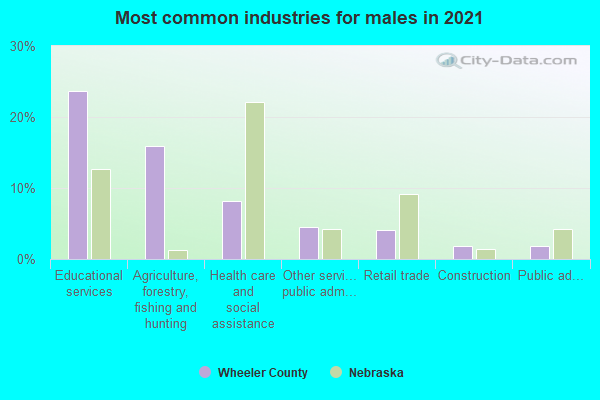 Most common industries for males in 2022