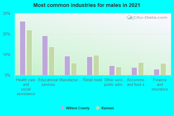 Most common industries for males in 2022