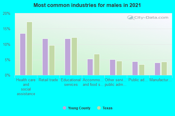 Most common industries for males in 2022