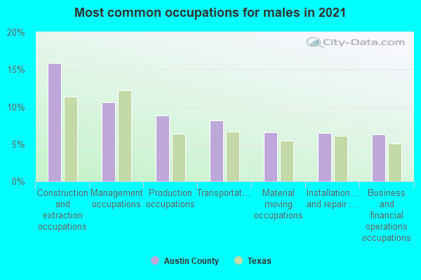 Most common occupations for males in 2022