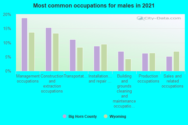 Most common occupations for males in 2022