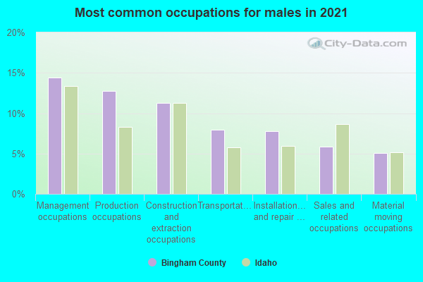 Most common occupations for males in 2022