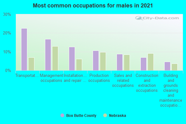 Most common occupations for males in 2022