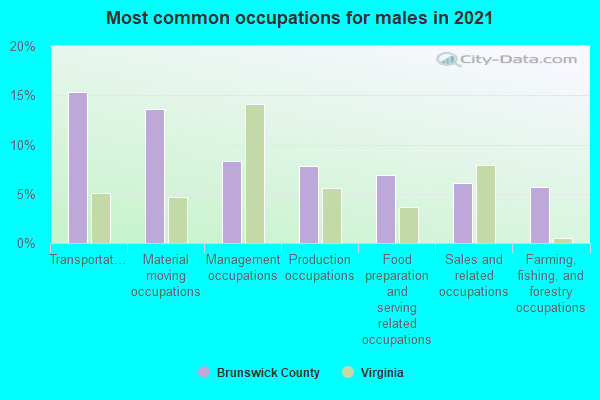 Most common occupations for males in 2022