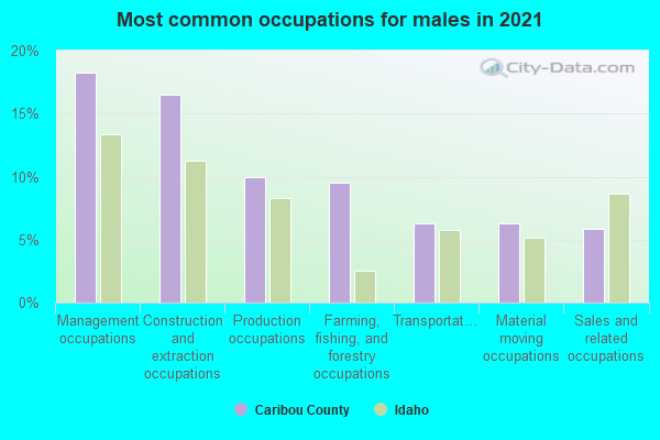 Most common occupations for males in 2022