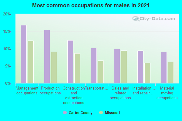 Most common occupations for males in 2022