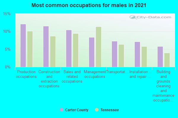 Most common occupations for males in 2022